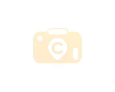 Carbonated Drink Coca-Cola cola 1.5l